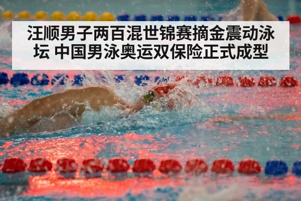 汪顺男子两百混世锦赛摘金震动泳坛 中国男泳奥运双保险正式成型
