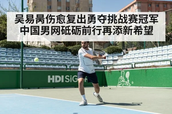 吴易昺伤愈复出勇夺挑战赛冠军 中国男网砥砺前行再添新希望